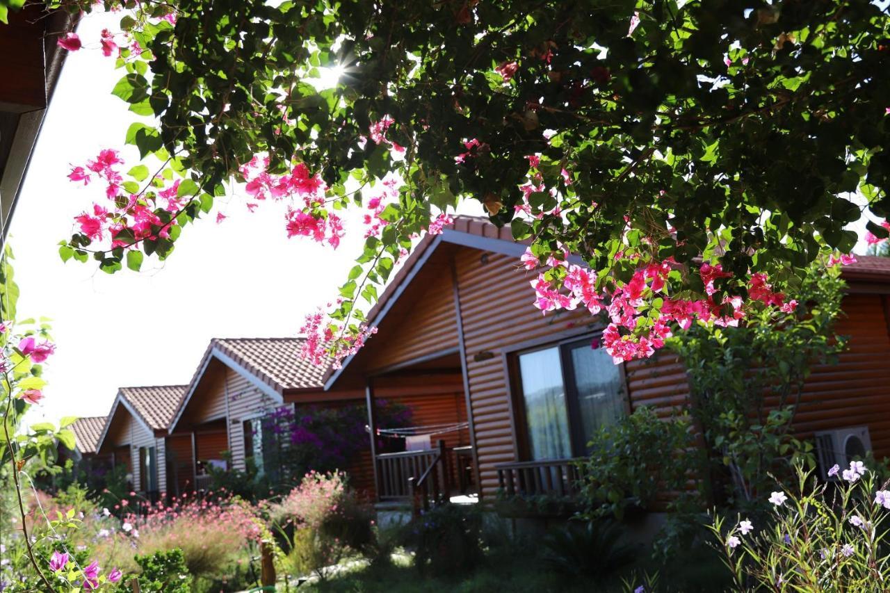 Çıralı Leontopolis Apart Otel מראה חיצוני תמונה