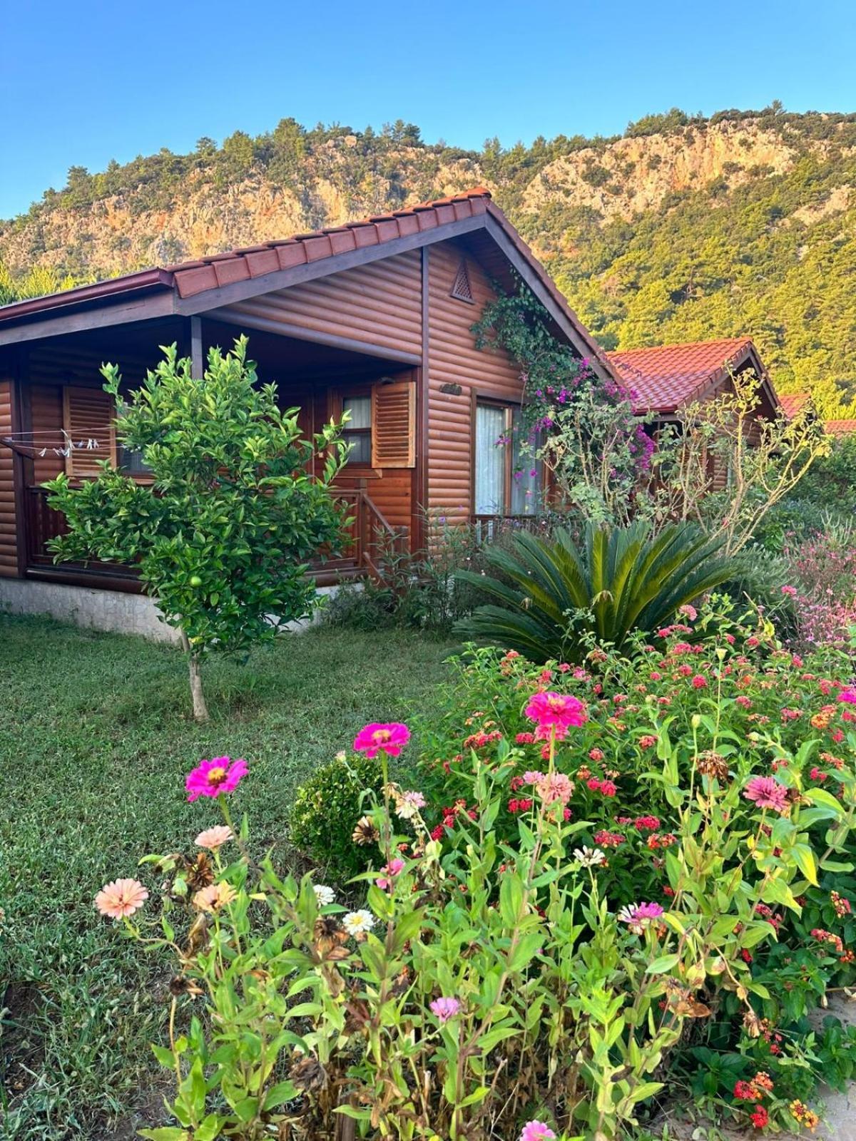 Çıralı Leontopolis Apart Otel מראה חיצוני תמונה